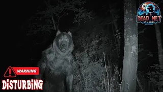 7 Real German Dogman Sightings: Berlin to the Black Forest