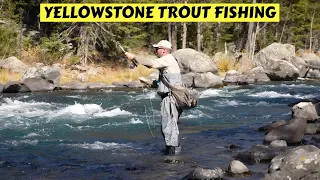 Yellowstone Trout Fishing | Idaho