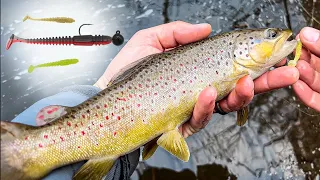 I Use This Secret Bait To Catch More Trout ALL Year Long!