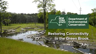 Restoring Connectivity to the Green Brook