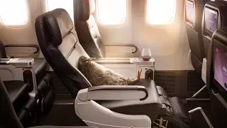 Relajate en la clase Premium Economy de Air New Zealand