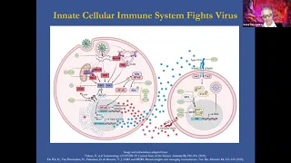 Rapid and Rational COVID-19 Drug Cocktail Discovery