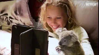 Izzy's Koala's world