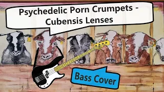 Psychedelic Porn Crumpets - Cubensis Lenses | Bass Cover