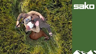 Aerial roebuck reaction to a shot