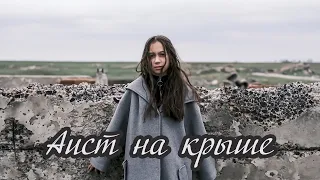 Лиза Бледных - "Аист на крыше"