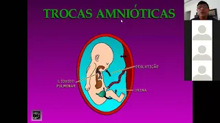 PATOLOGIAS  DO LIQUIDO AMNIÓTICO