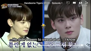 Cha Eun Woo  Handsome Tigers 🐯