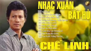 Nhạc Xuân Bất Hủ CHẾ LINH | Nhạc Xuân Dành Cho Những Người Xa Quê - Nhạc Xuân Hải Ngoại Hay Nhất