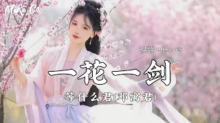 等什么君 (邓寓君) - 一花一剑 - yi hua yi jian - [动态歌词-pinyin lyrics]