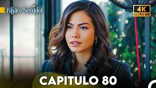 Pájaro Soñador Capítulo 80 (Doblado En Español 4K)