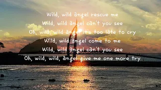 Wild Wild Angel          Chris Norman