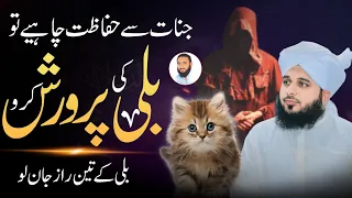 Bili ki parwrsh - Janwar Palna Kaisa Hai? | New Bayan Peer Ajmal Raza Qadri 2024