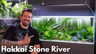 Hakkai Stone River Aquarium nach 6 Monaten!