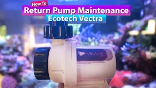 Return Pump Maintenance - How to properly Clean your Return pump - Ecotech Vectra S2 M2 L2