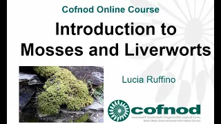 Introduction to Mosses and Liverwort Recording - Online Course
