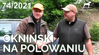 SUDECKA OSTOJA 74/2021. Okniński strzela dzika. Hunting wildboars in Poland. Polowanie na dziki.