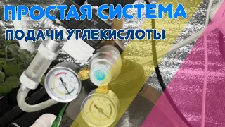 🤿Co2 в ситиферме клубники. Подача углекислого газа в растения на малообъемке с баллоном CO2.