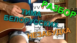 Тима Белорусских - НЕЗАБУДКА | Разбор для начинающих гитаристов