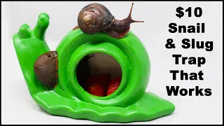 A $10 Snail & Slug Trap That Works!    Mousetrap Monday