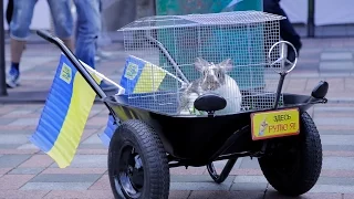 «Ціна життя» проти підвищення тарифів ЖКГ