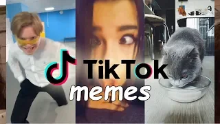 Как снять тик ток. TIK TOK MEMES #2