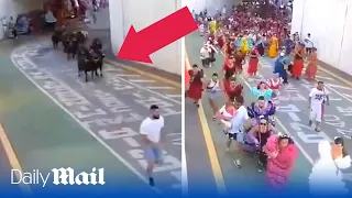 Terrified people run for their lives after bulls are mistakenly let loose at Spanish festival