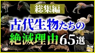 【ゆっくり解説】【総集編】眠れなくなるほど面白い古代生物の「絶滅理由」65選を解説【作業用】【睡眠用】