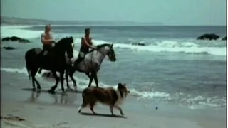 Lassie - Episode #487 - “Out of the Frying Pan” - Season 15, Ep. 12  -12/15/1968