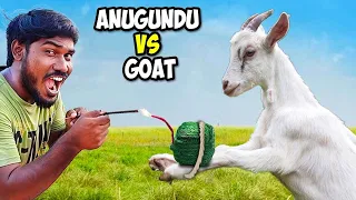 Powerful Anugundu Vs Goat Leg