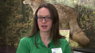 A Minute With Nature - Vernal Pools