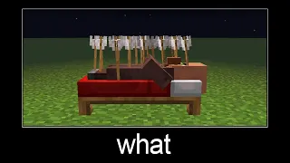 Minecraft wait what meme part 262 (funny Iron Golem and Zombie)