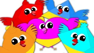 Five Little Birds | Birds Song | Nursery Rhymes & Kids Songs For Babies