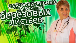 🍃 Дерево жизни: как березовые листья могут изменить ваше здоровье.🍃