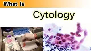 What is Cytology ?  ( Clear & Complete Overview )