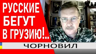 Фанаты Путлера бегут в Грузию и кричат: А почему я?.. Мобилизация в россии - Тарас Чорновил