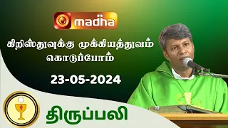 🔴23 May  2024 Holy Mass in Tamil 06:00 PM (Evening Mass) | Madha TV