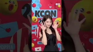 KCON 씹어먹은 프로미스나인