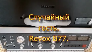 Случайный гость