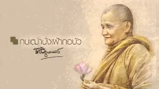 กบเฒ่านั่งเฝ้ากอบัว