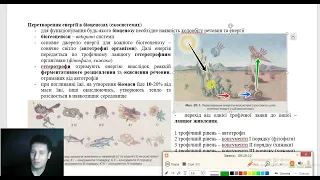 Лекція №8. Колообіг речовин та потік енергії в екосистемах