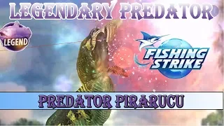 Fishing Strike Amazon River Legendary Predator Fish - Predator Pirarucu