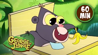 Best Ape Episodes | George of the Jungle | Cartoon Compilation