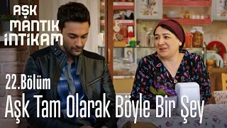 Aşk tam olarak böyle bir şey - Aşk Mantık İntikam 22. Bölüm