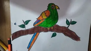 डाली पर बैठा  तोता  बनाना सीखे| how to draw a parrot | parrot painting drawing| parrot pencil art