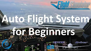 The Auto Flight System - A BASIC Overview | Real 737 Pilot