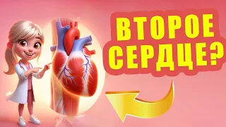 Упражнения ДОЛГОЖИТЕЛЕЙ | Укрепляем "ВТОРОЕ" сердце