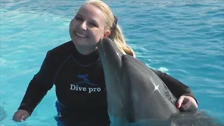 Плававаю с дельфинами. Дельфин дарит поцелуй. Милое видео.Круто!