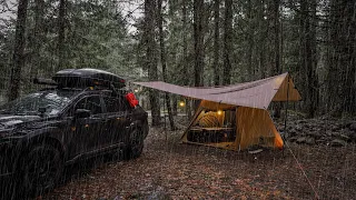 OneTigris Solo Homestead TC Tent camping in all day rain with Pepper / Subaru Outback Wilderness