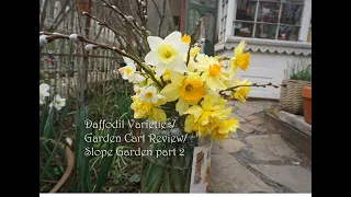 Daffodil Varities/ Garden cart Review/ Slope Garden Part 2